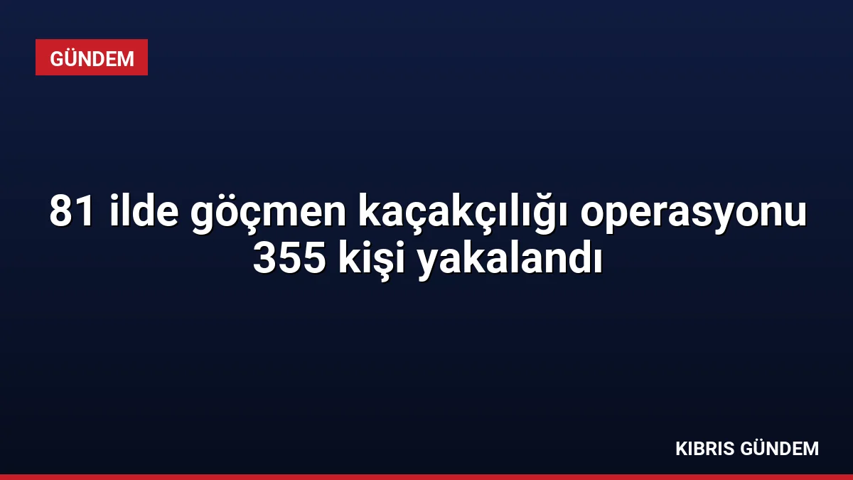 81 ilde göçmen kaçakçılığı operasyonu 355 kişi yakalandı