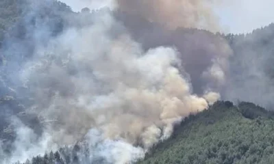 Antalya Kepez'de orman yangını