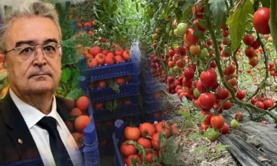 Burdur'da Tefenni için çağrı