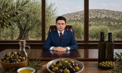 Derik zeytini uluslararası ödüllerle markalaşma yolunda