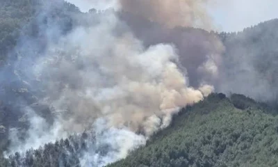Kaş'taki orman yangınında söndürme çalışmaları ikinci gününde