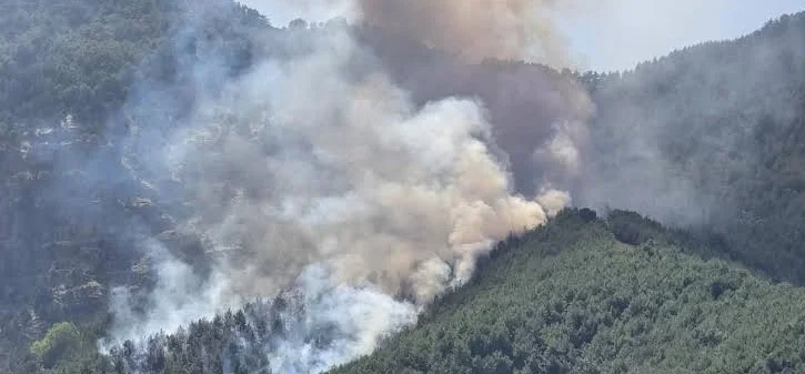 Kaş'taki orman yangınında söndürme çalışmaları ikinci gününde