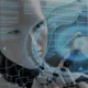 OpenAI CEO'su Sam Altman Yapay Zeka Otoriterliğine Karşı Uyardı