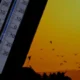 Türkiye'de Sıcak Hava Dalgası Şiddetinde 75 Yıllık Rekor Artış