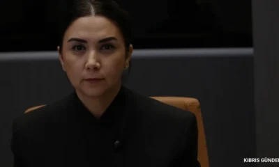 Ayşegül Baybars beyaz kimlik sisteminde kademeli hak önerdi
