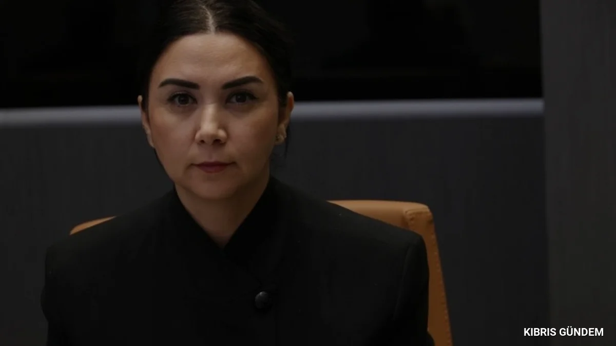 Ayşegül Baybars beyaz kimlik sisteminde kademeli hak önerdi
