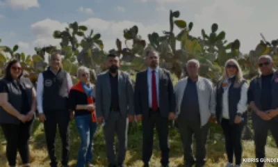 Biyolojik mücadelede zararlılara karşı büyük başarı