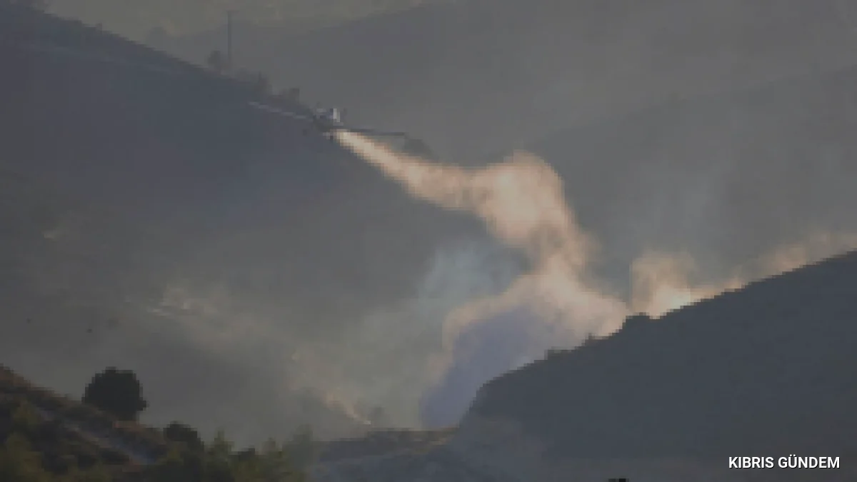 Güney Kıbrıs'taki büyük yangına ABD ile yapılan tatbikatın yol açtığı öne sürüldü