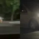 Güzelyurt'ta kaput üzerinde yolculuğa ağır ceza
