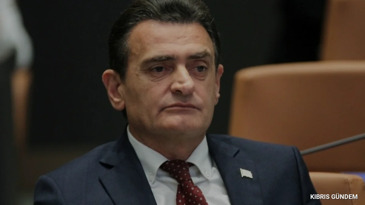 İçişleri Bakanı Oğuzdan ülkeye girişlerde uygulanan INAD prosedürüne ilişkin açıklama