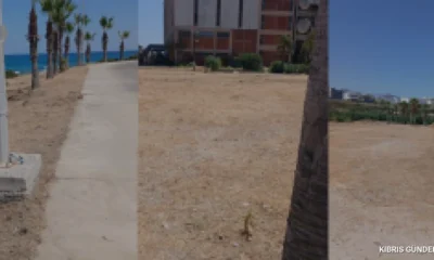 KIBTEK Teknecik Santralindeki Ot Temizliği İddialarını Yalanladı