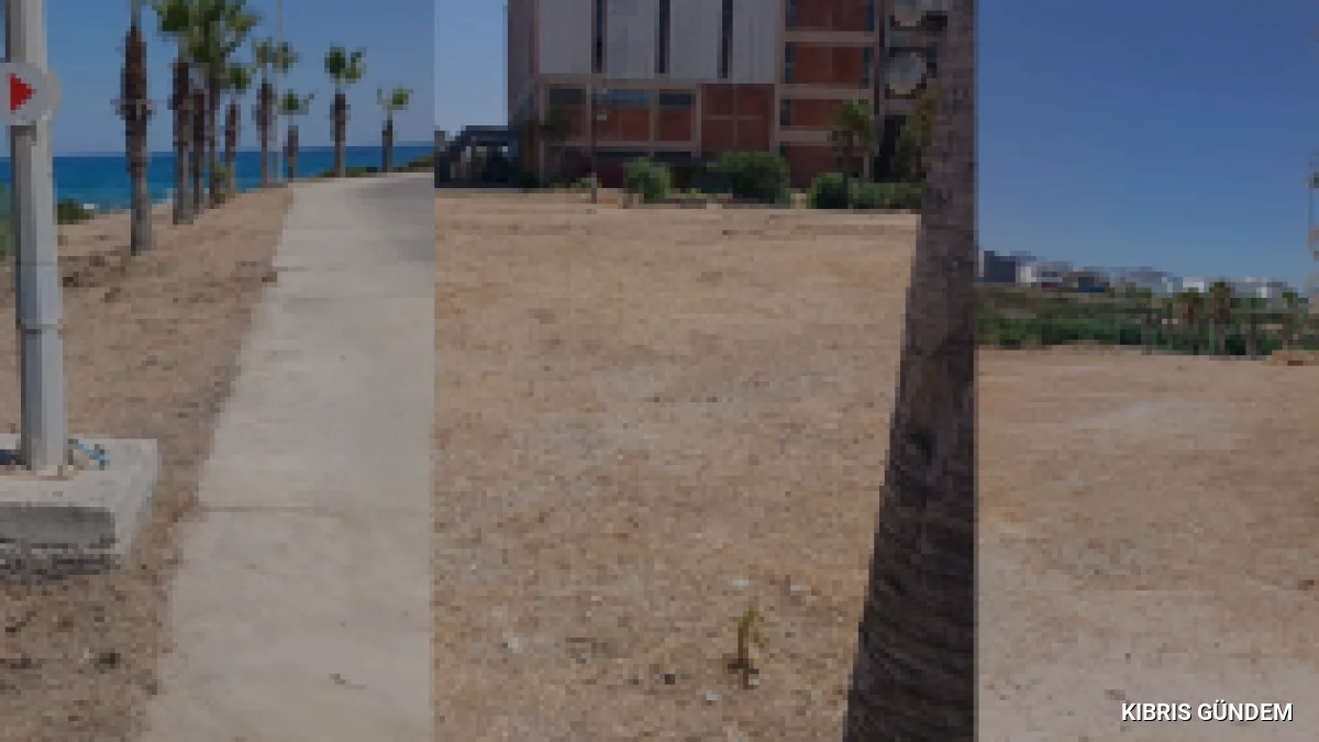 KIBTEK Teknecik Santralindeki Ot Temizliği İddialarını Yalanladı