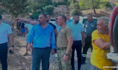 Tirmen bölgesindeki yangın Bakan Çavuşun incelemeleriyle kontrol altına alındı
