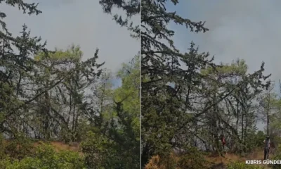 Tirmen Köyünde Orman Yangını İçin Acil Yardım Çağrısı