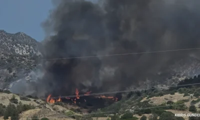 Yamaçköy ve Tirmen Arasındaki Ormanlık Alanda Yangın Çıktı