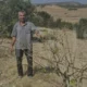 Ziyamet köyünde başıboş eşekler tarım alanlarını talan ediyor