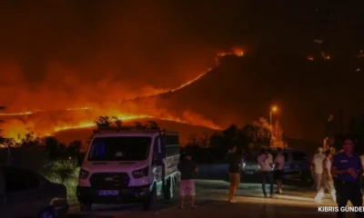 Ankara Mamak'ta orman yangını paniği