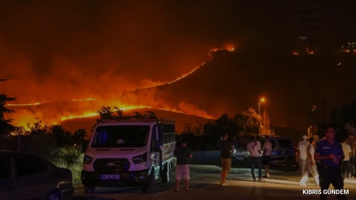 Ankara Mamak'ta orman yangını paniği