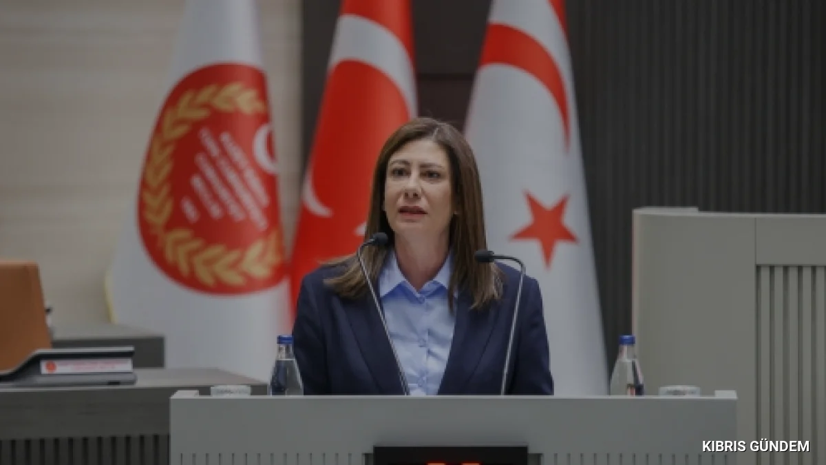 CTP Genel Başkanı İncirli Cumhuriyet Meclisi kürsüsünden hükümeti eleştirdi