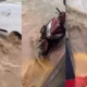 Mamak sele teslim; Belediyeye sert eleştiri!