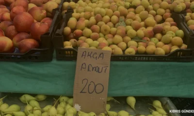 Girne Çarşamba Pazarında Yaz Bereketinde Fiyat Farklılıkları