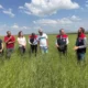 Kars'ın 13 bin yıllık tarımsal mirası Kavılca buğdayı için sahada inceleme