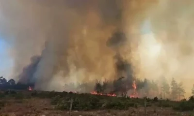 Kaş'ta çıkan orman yangınına yoğun müdahale