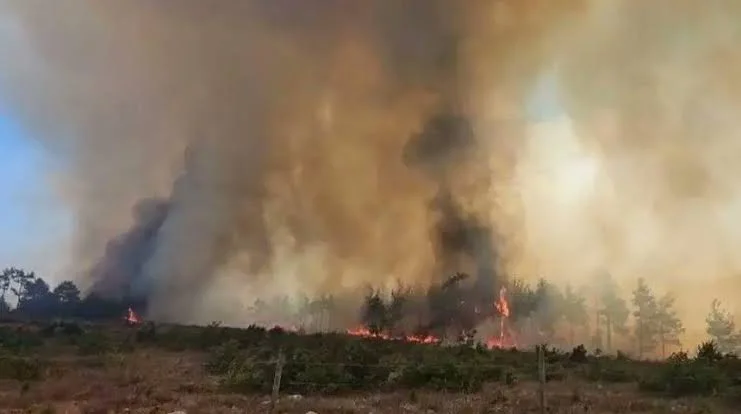 Kaş'ta çıkan orman yangınına yoğun müdahale