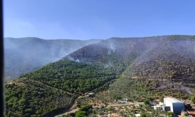 Yalova-Bursa sınırındaki yangın kontrol altına alındı