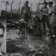 78 Yıllık Gizem Çözüldü İsrail Askeri Shlomo Haimsonun Mezarı Bulundu