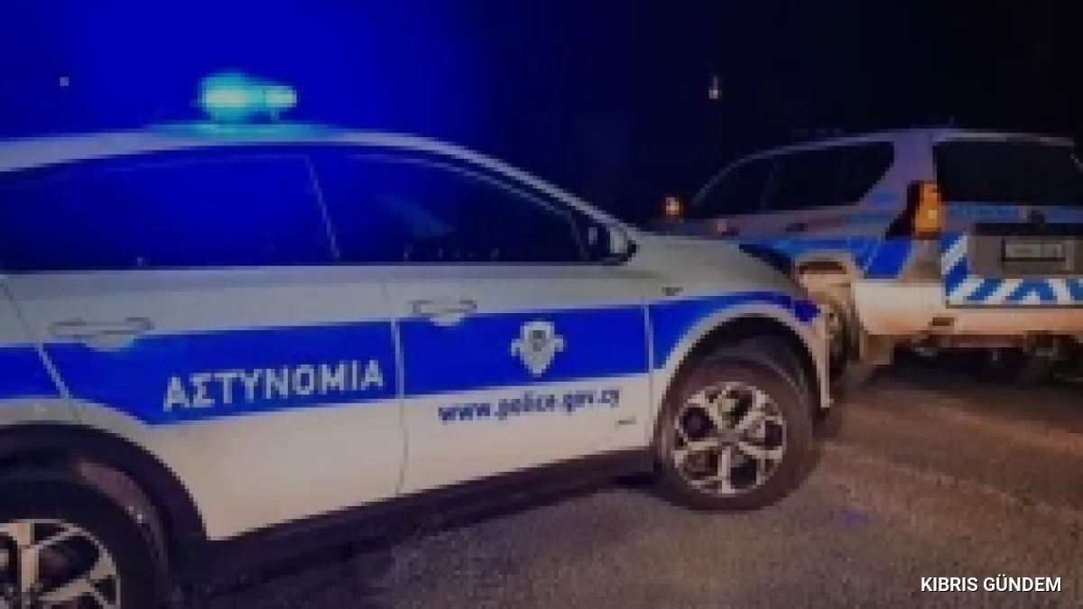 Güney Kıbrıs'ta orman yangını sonrası kundaklama gözaltısı