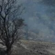 Tirmen bölgesinde çıkan yangın 120 dönümlük araziye zarar verdi