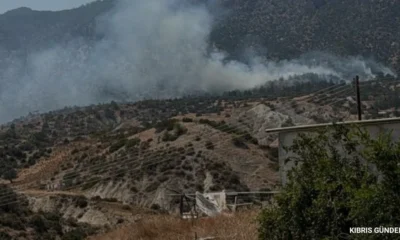 Tirmen orman yangını kontrol altına alındı