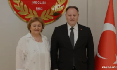 Ziya Öztürkler Seçim Süreci ve Karma Oy Düzenlemesi Hakkında Konuştu