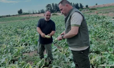 Bakan Çavuş Güzelyurt bölgesindeki tarımsal hasarı yerinde inceledi