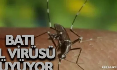Güney Kıbrıs'ta Batı Nil Virüsü Kaynaklı İlk Ölüm Gerçekleşti