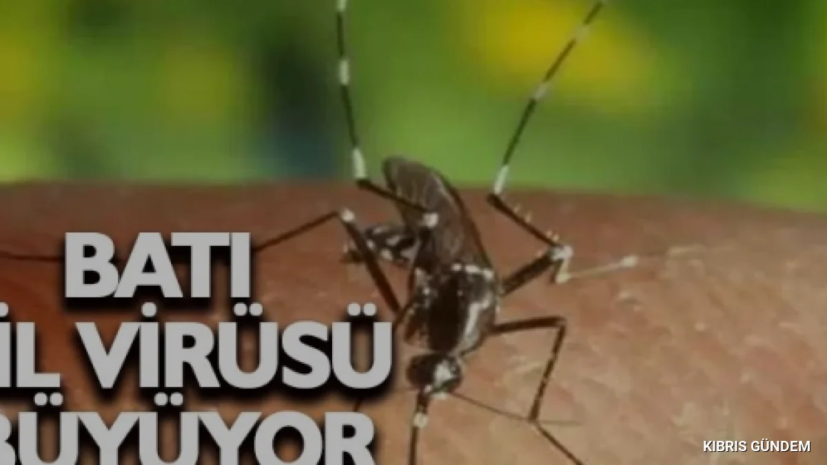 Güney Kıbrıs'ta Batı Nil Virüsü Kaynaklı İlk Ölüm Gerçekleşti
