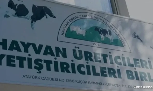 Hayvan Üreticileri ve Yetiştiricileri Birliği Karkas Operasyonu Sonrası Tepkili