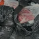 Karkas Operasyonunda Kaçak Et ve Sahte Mühür Operasyonu