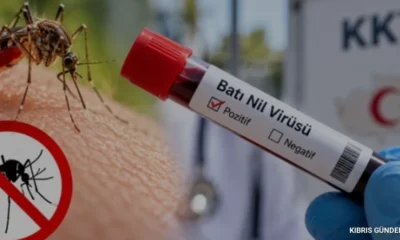Kıbrıs'ta Batı Nil Virüsü vakaları sonrası uzmanlardan uyarı