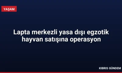 Lapta merkezli yasa dışı egzotik hayvan satışına operasyon