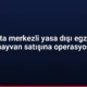 Lapta merkezli yasa dışı egzotik hayvan satışına operasyon