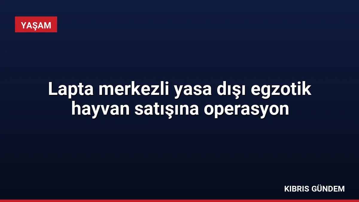 Lapta merkezli yasa dışı egzotik hayvan satışına operasyon